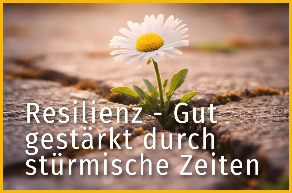 Resilienz